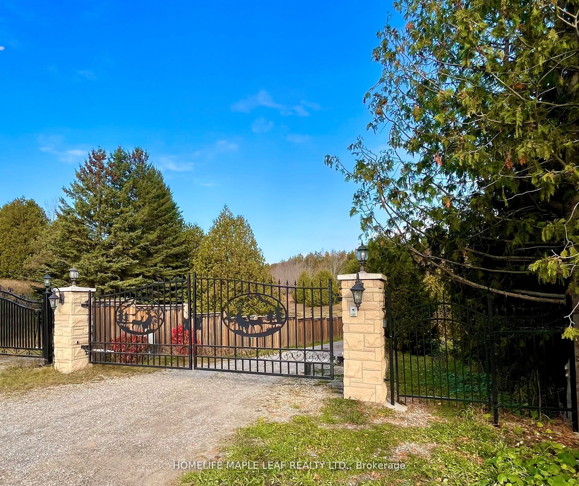 428239 25 Side Road