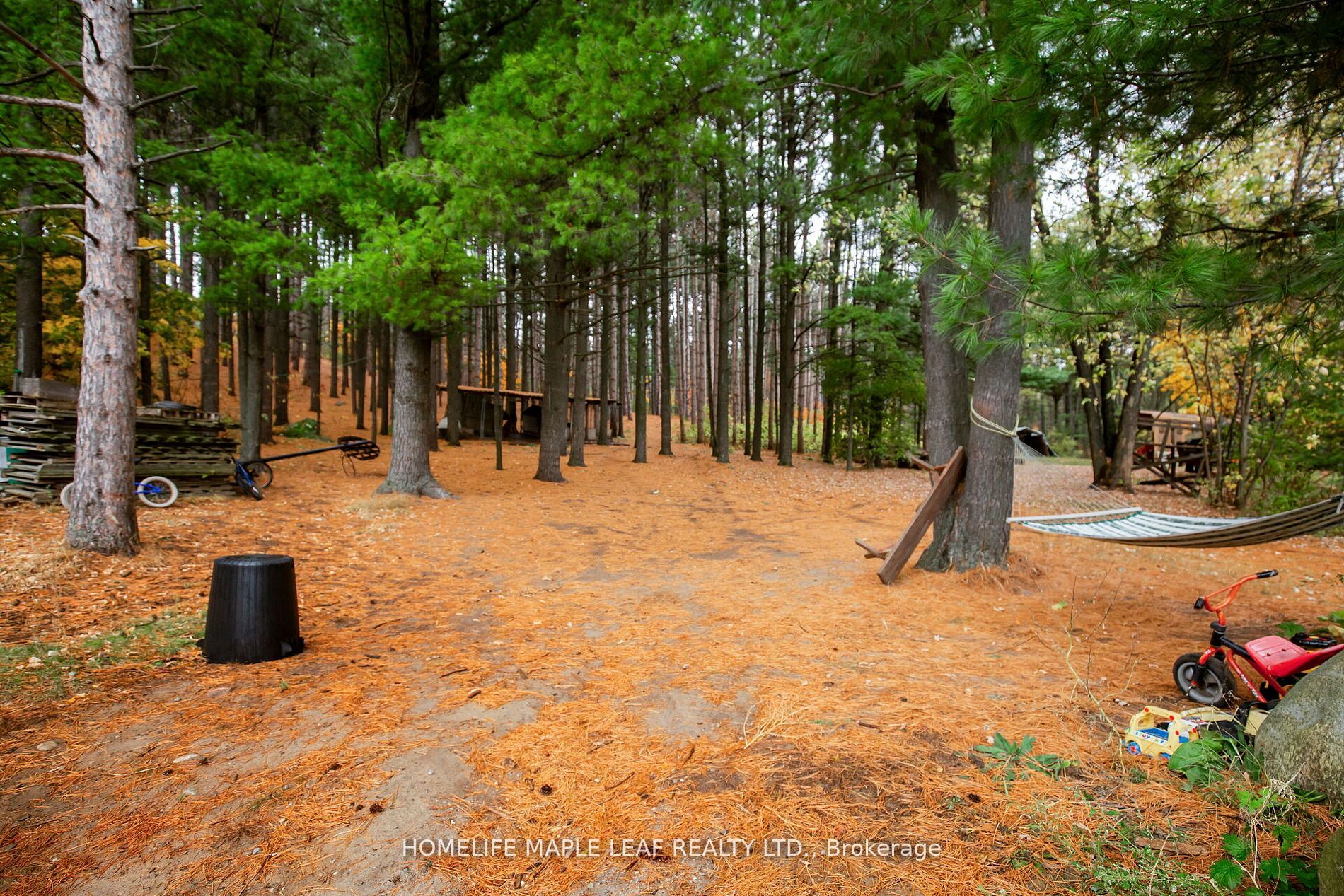 428239 25 Side Road