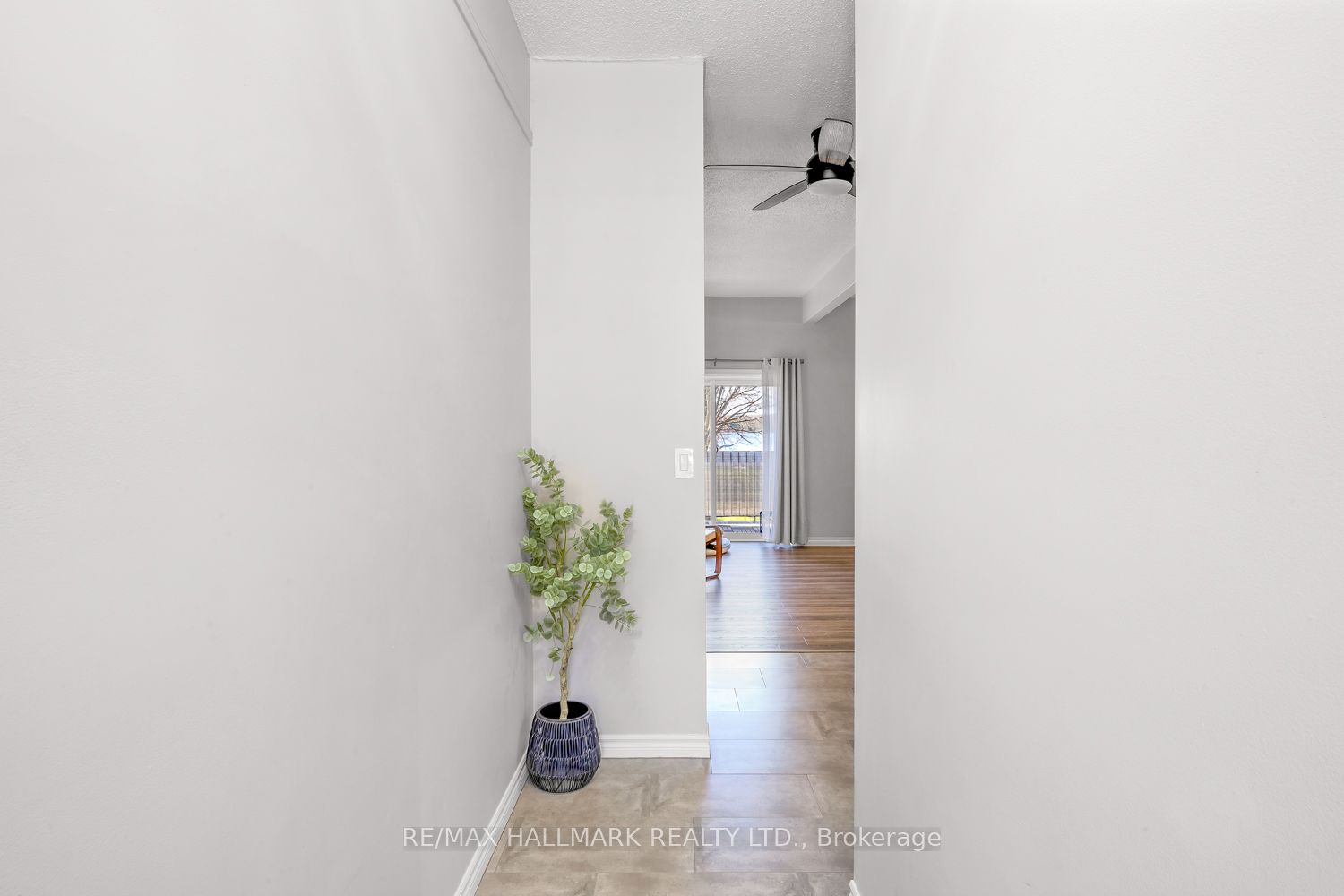 21 Prospect Street #4
