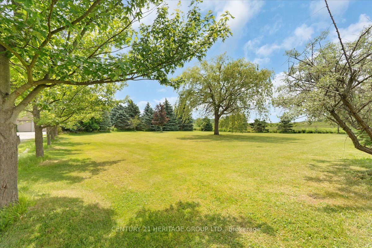 195 Woolverton Road