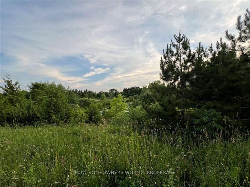 47 WEST OAK Trail
