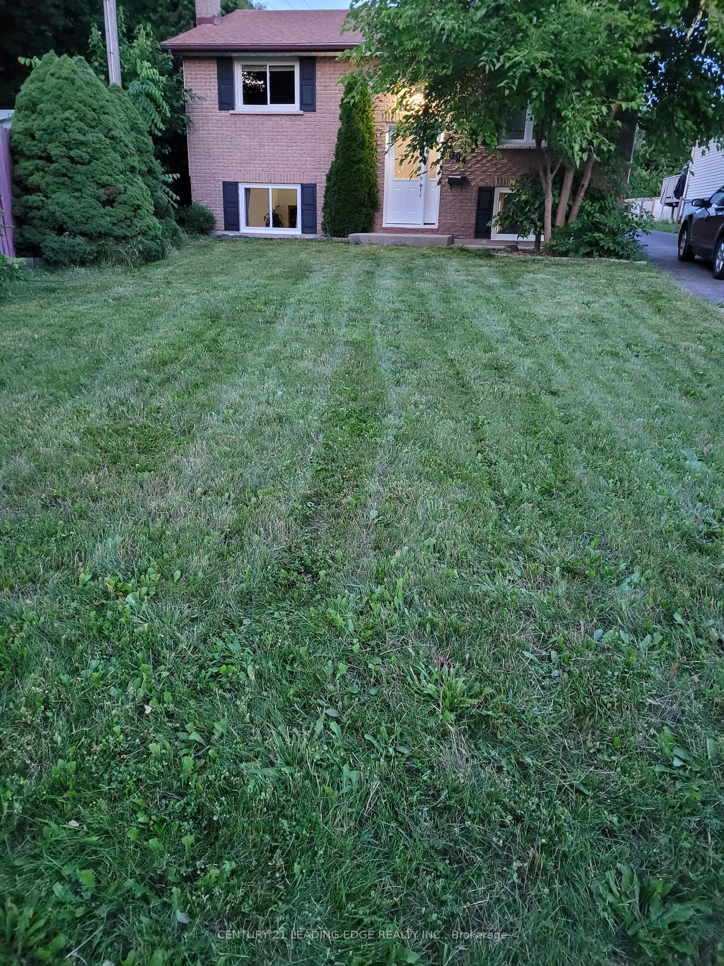 99A Prospect Hill #Lower