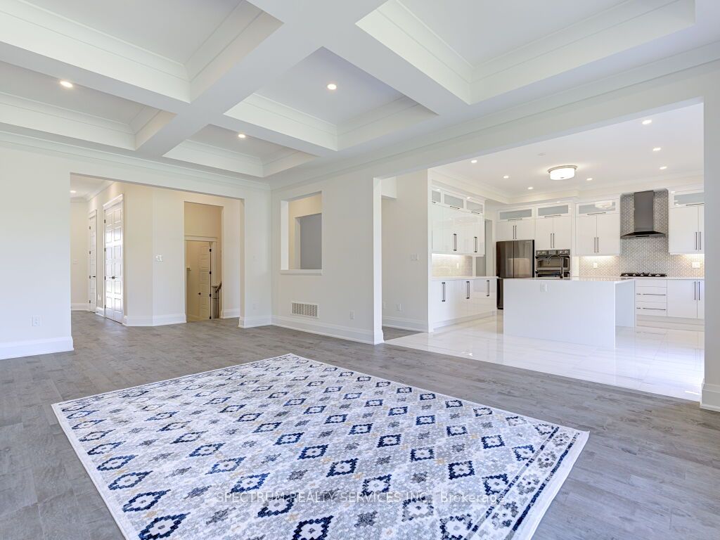 35 Macklin St