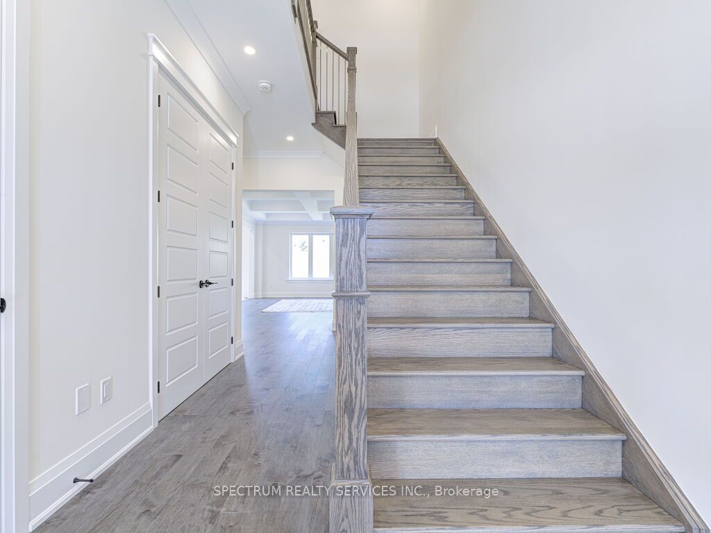 35 Macklin St