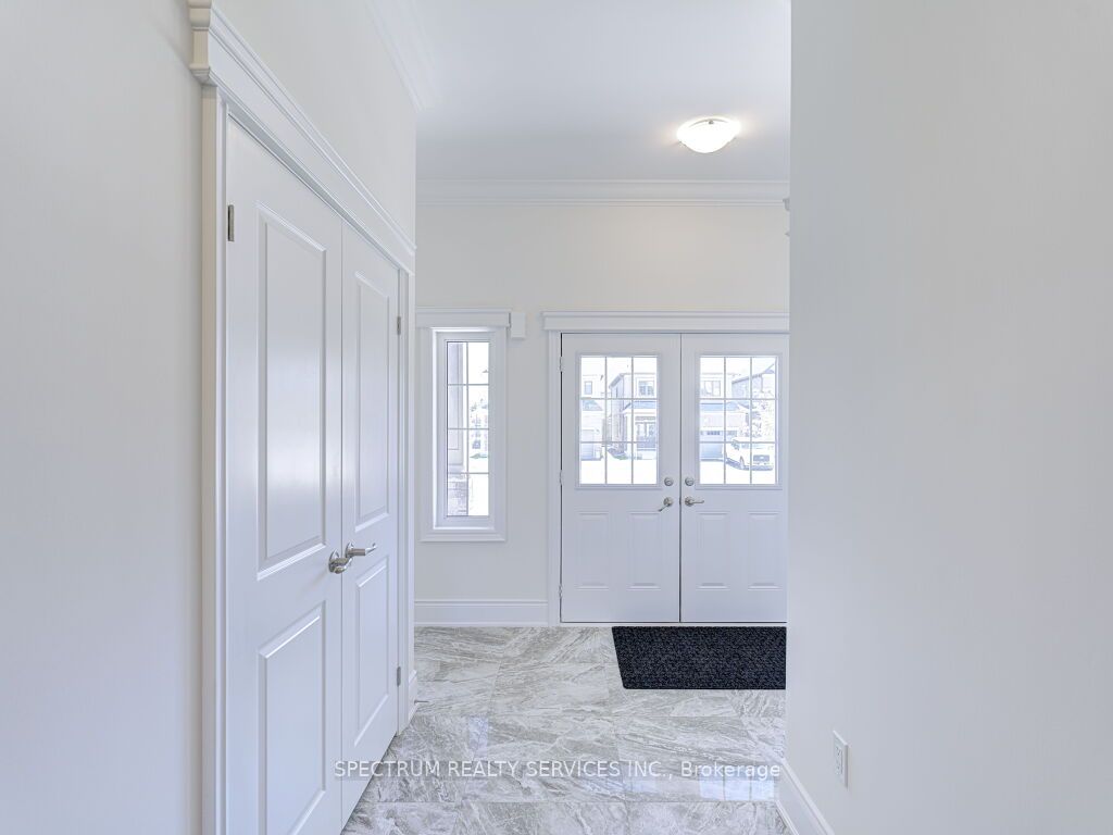 37 Macklin St