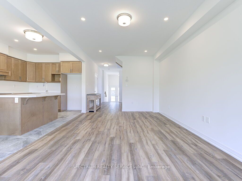 41 Macklin St