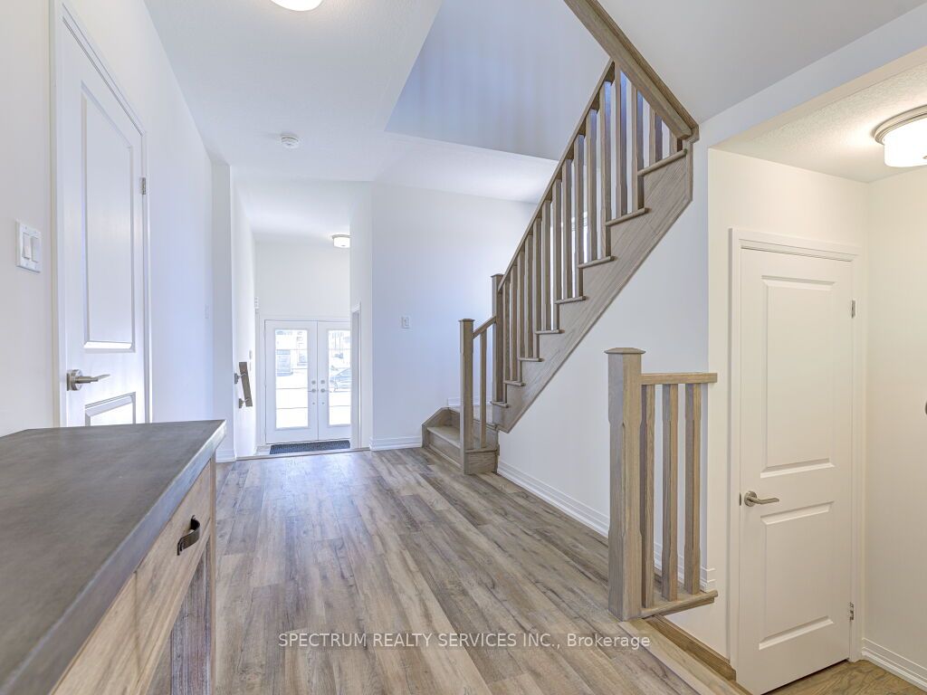 41 Macklin St