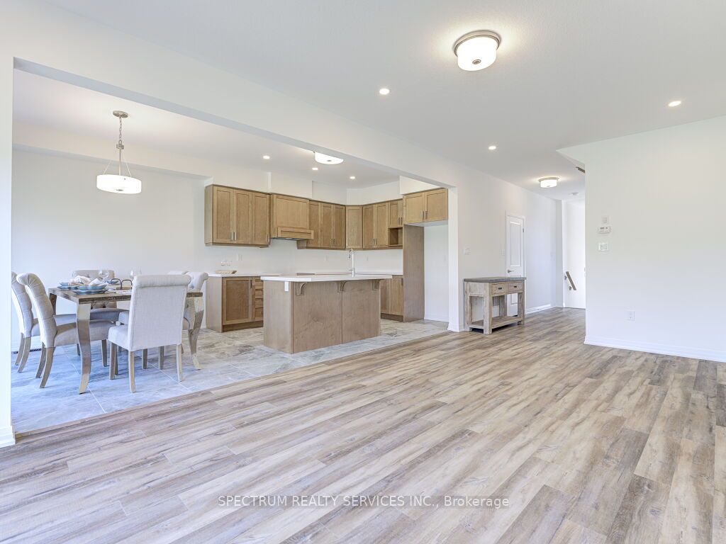 41 Macklin St