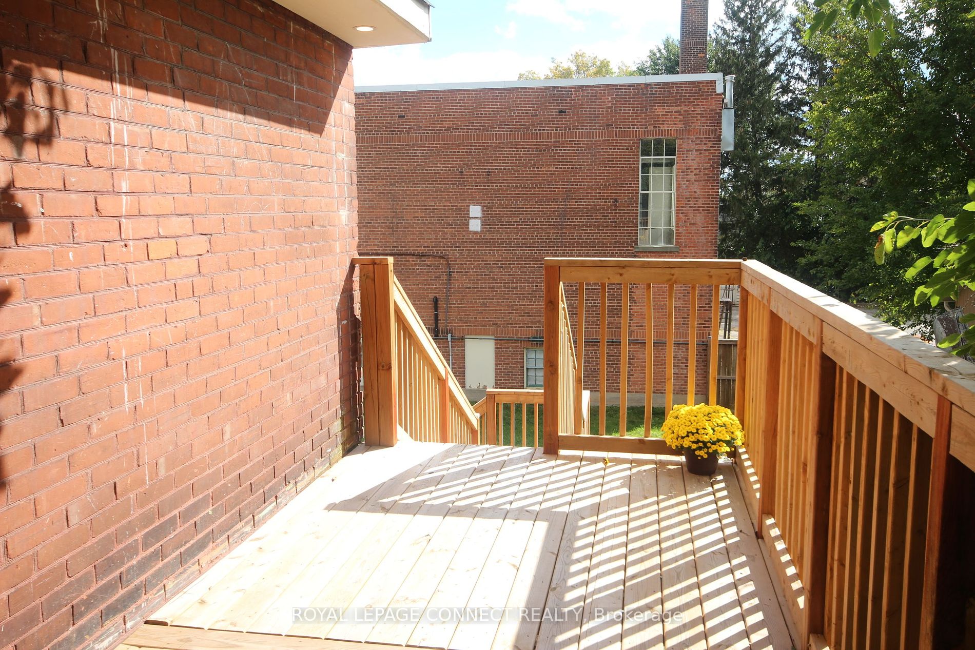 55 Cayuga Street