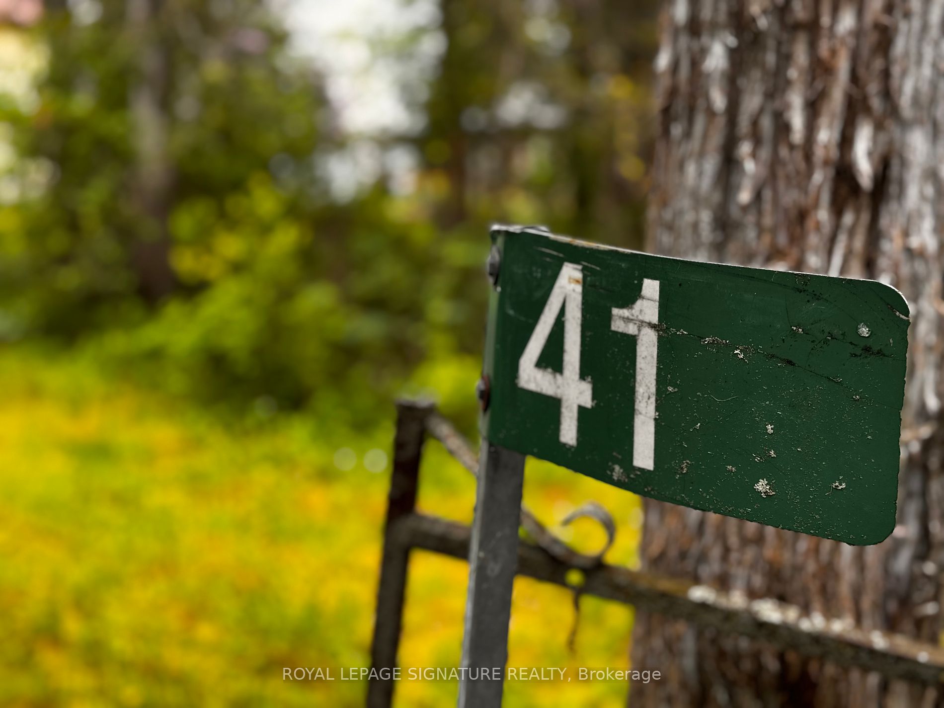 41 Back Lane