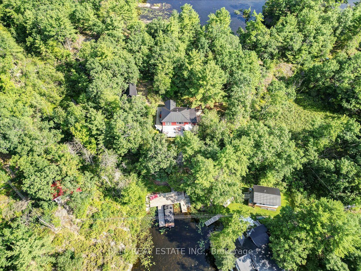 134 Cordova Lake Wao