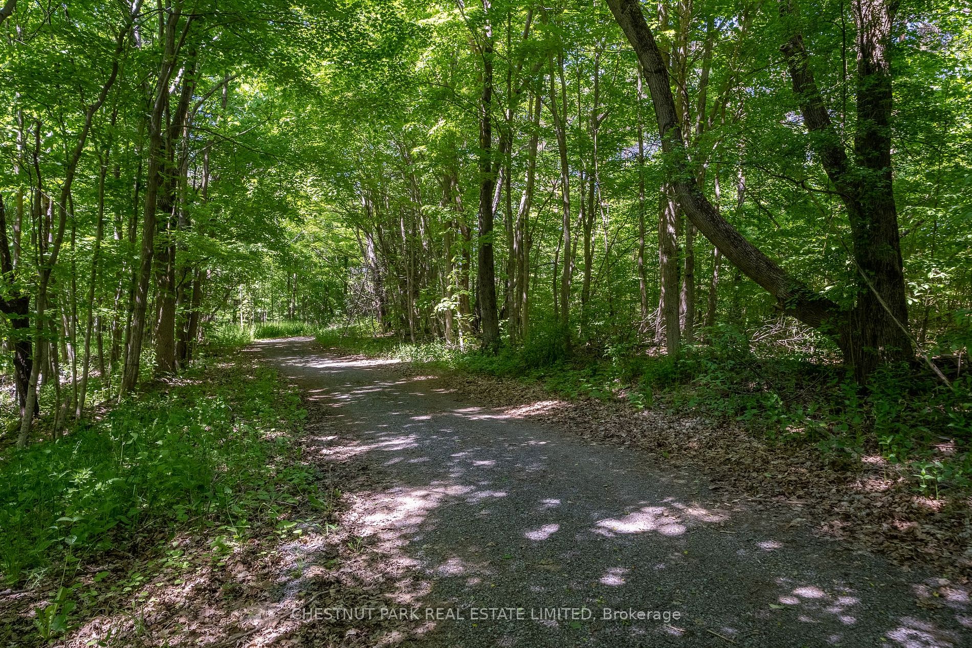 0 Dorenburg Lane