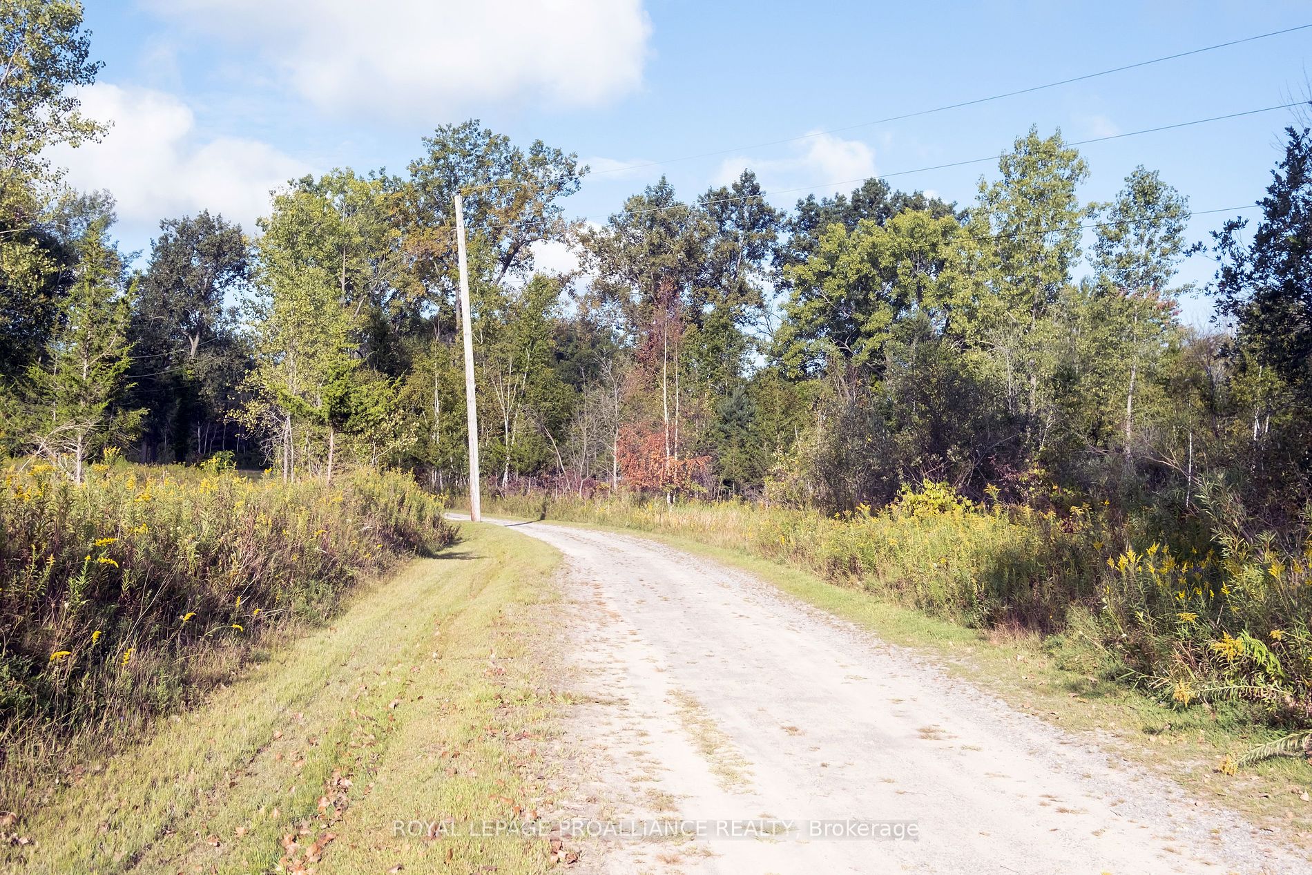 278 Whites Rd