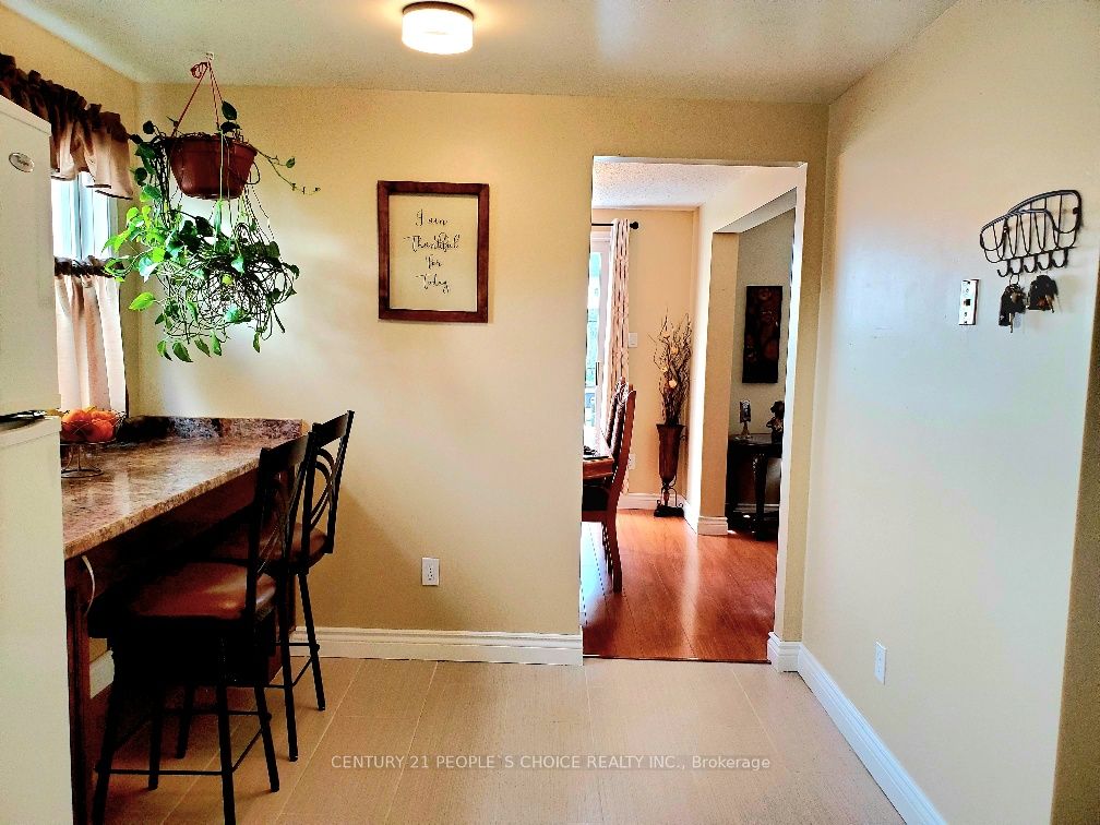 47 Bushnell Drive