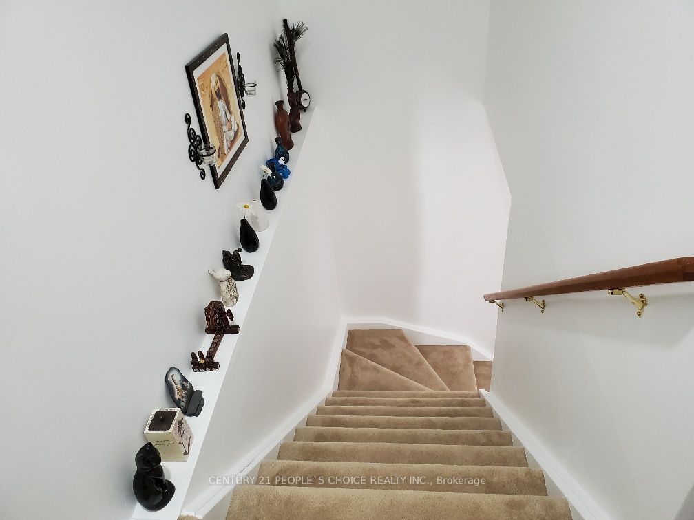 47 Bushnell Drive