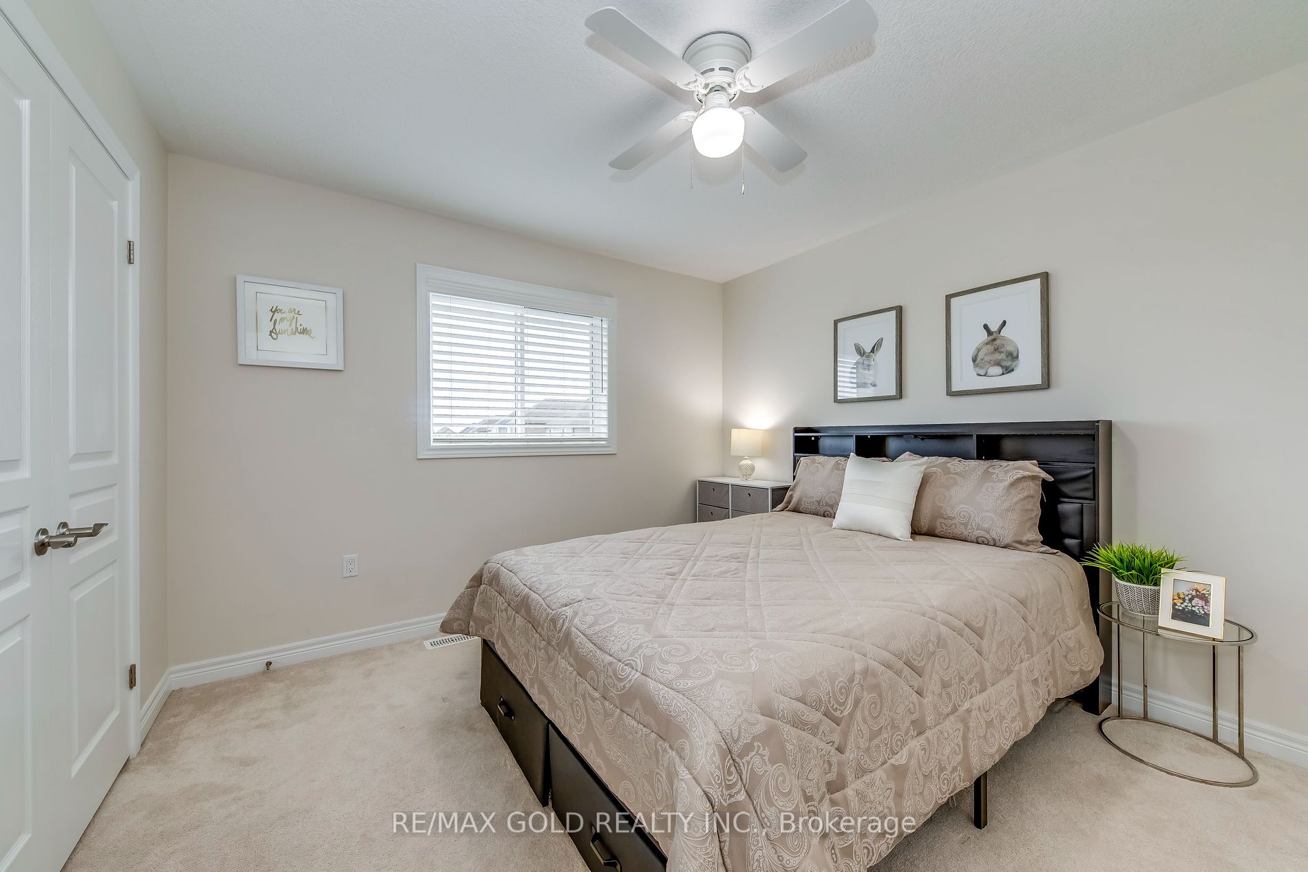 46 Whistler St