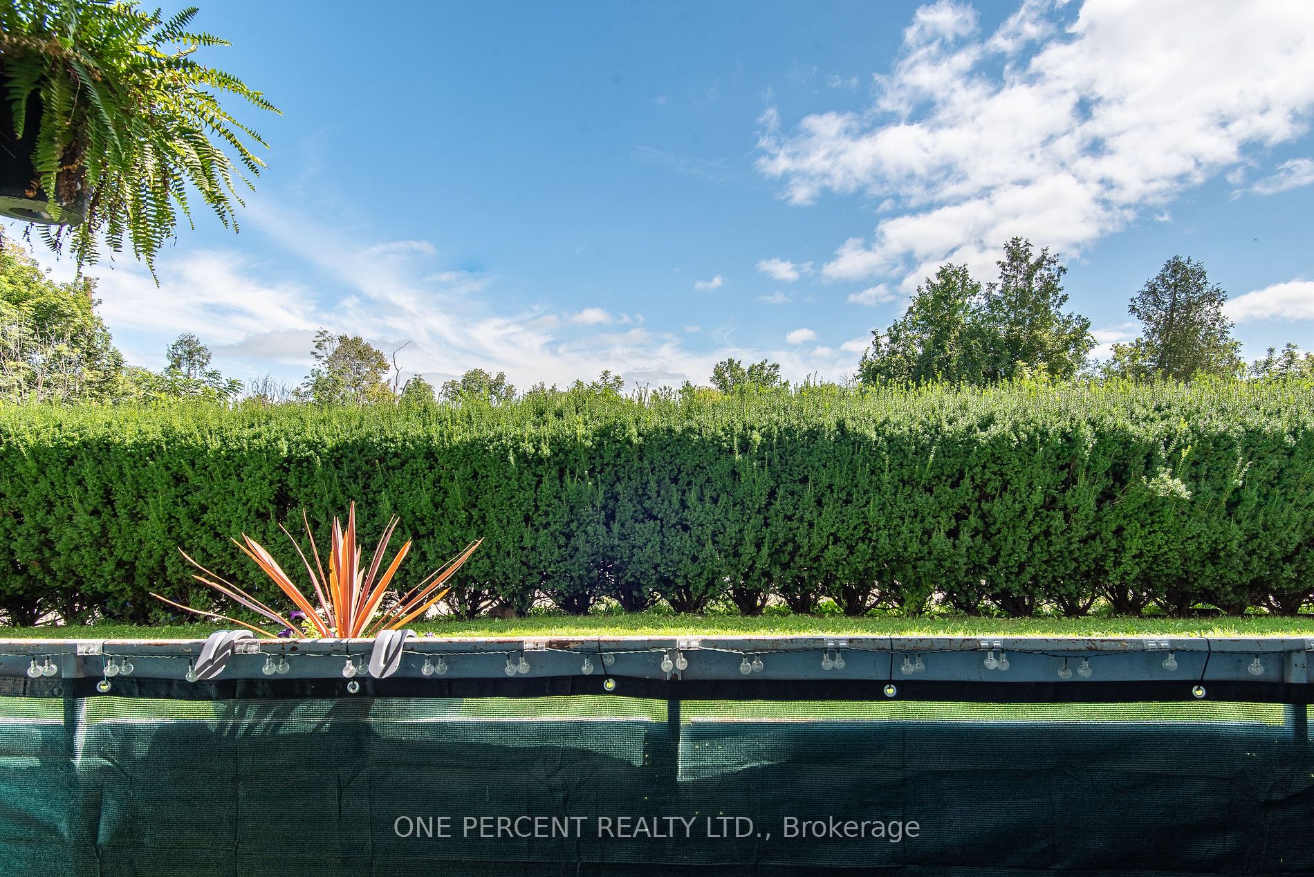 105 Conroy Cres, #103