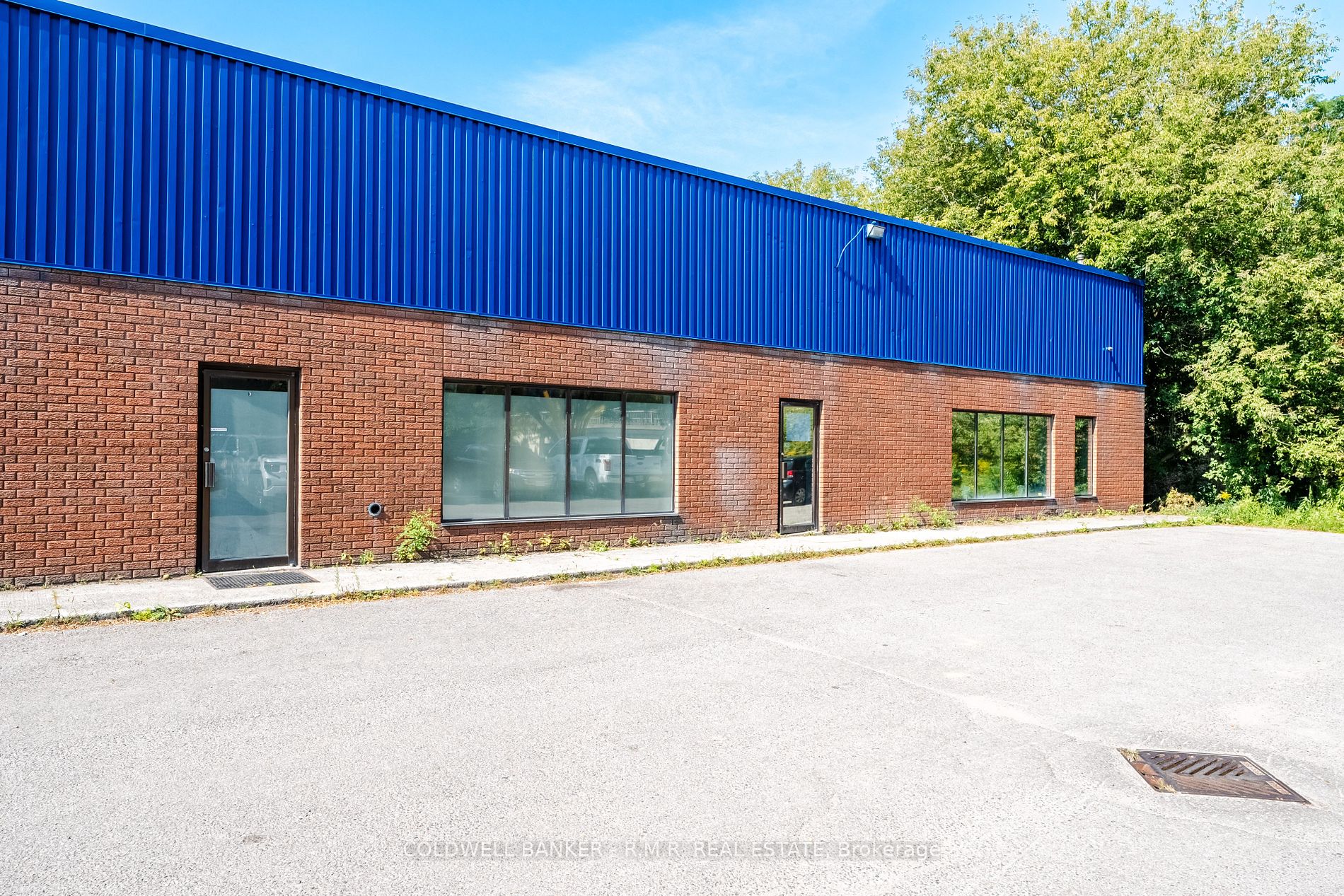 461 William Street, #4