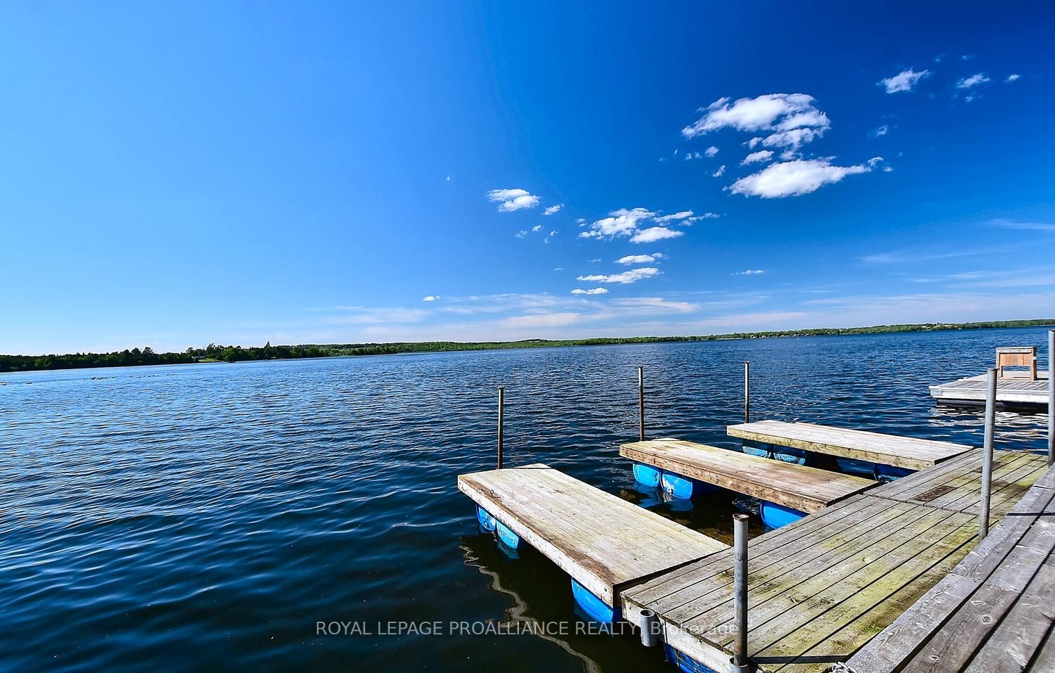 8 Parker Dr