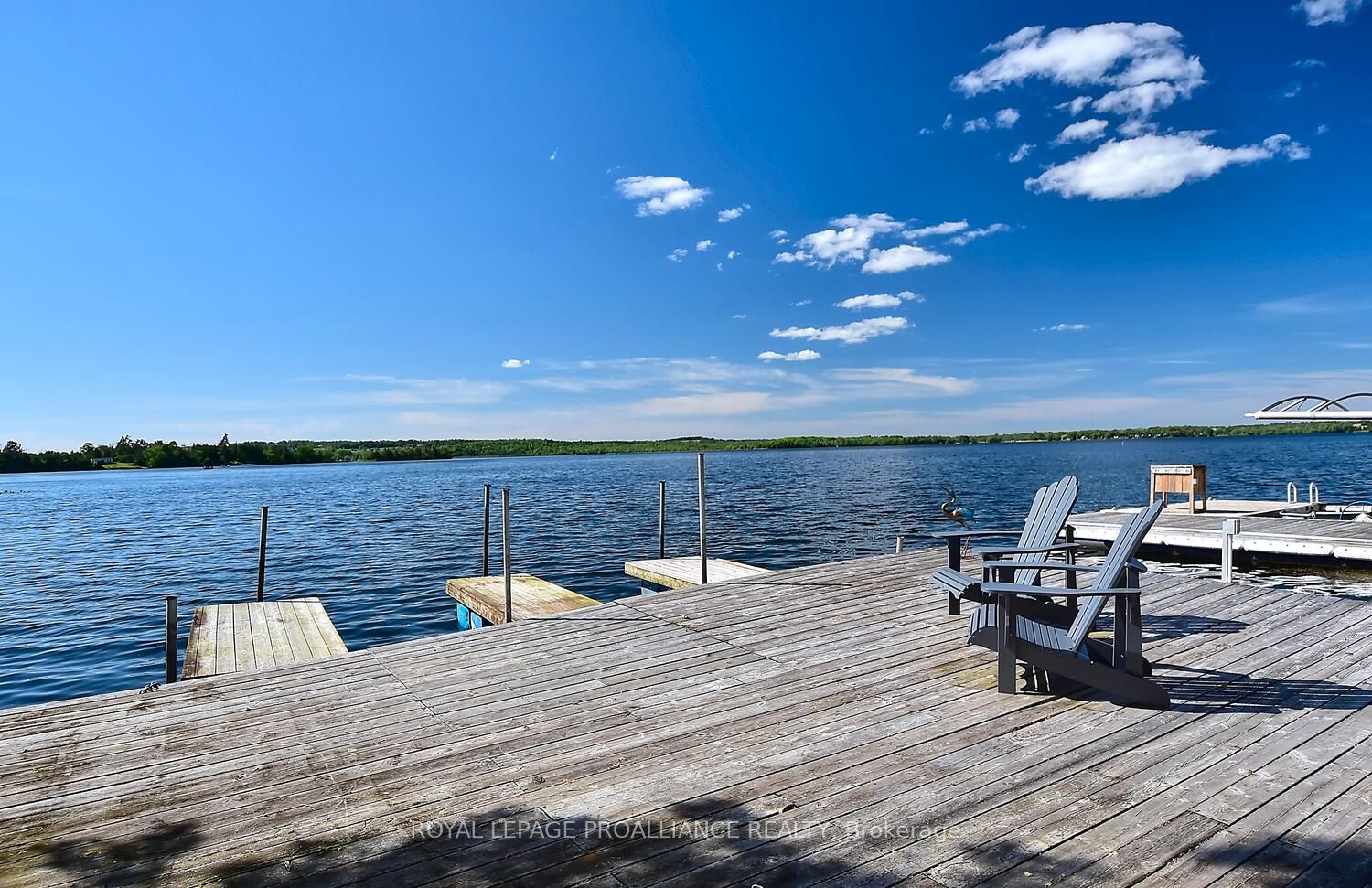 8 Parker Dr