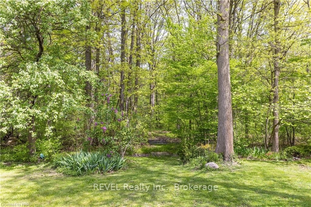 92 THOROLD Ave