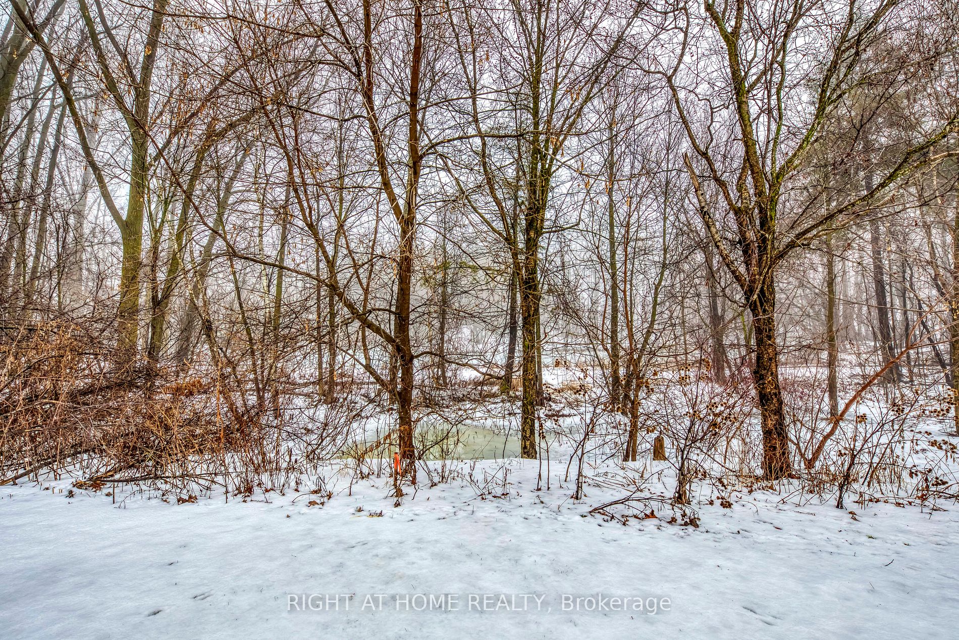 146 7th Concession Rd E