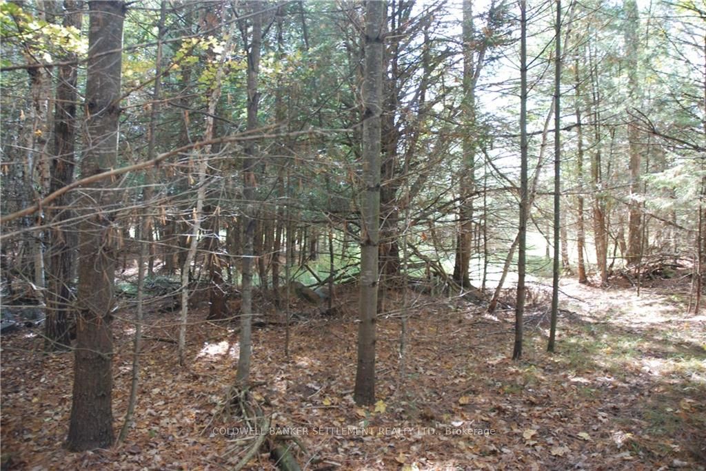 Lot 2 WATSONS CORNERS Rd