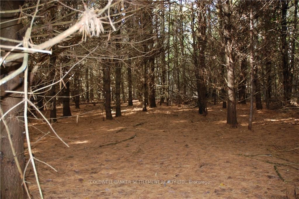 Lot 2 WATSONS CORNERS Rd