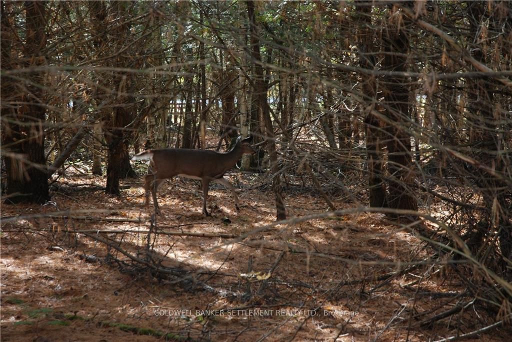 Lot 2 WATSONS CORNERS Rd