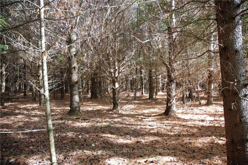 Lot 2 WATSONS CORNERS Rd