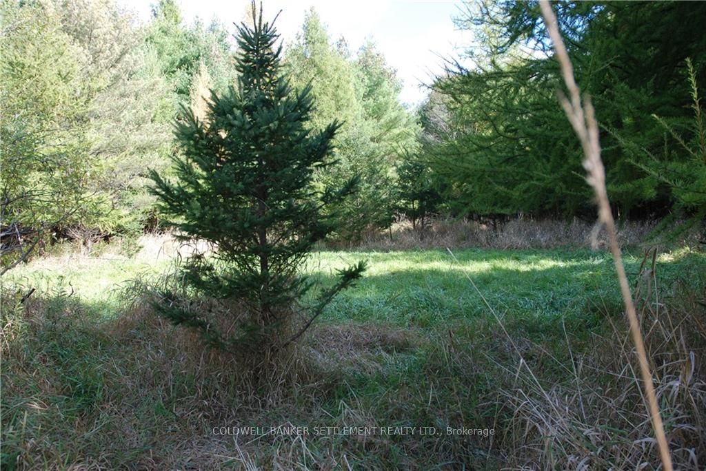 Lot 2 WATSONS CORNERS Rd