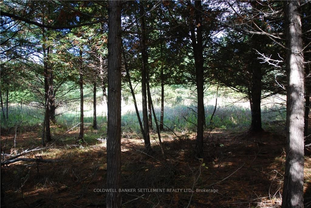 Lot 2 WATSONS CORNERS Rd