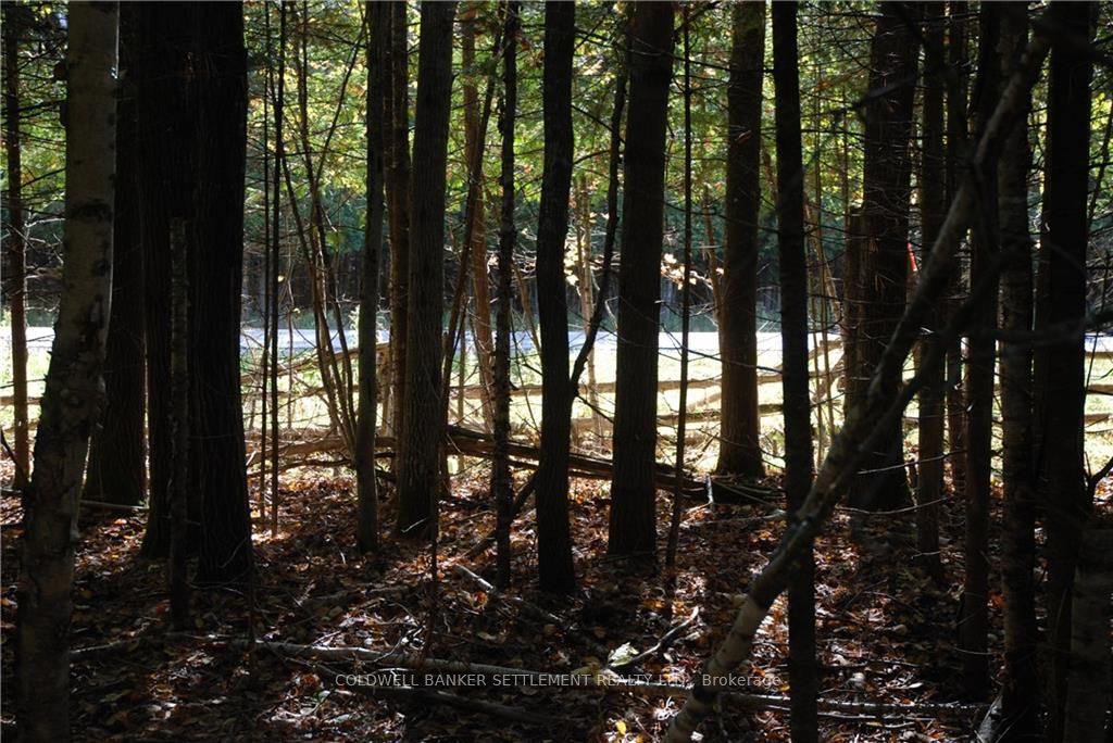 Lot 2 WATSONS CORNERS Rd