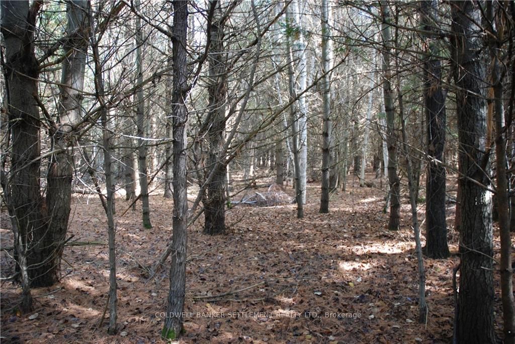 Lot 2 WATSONS CORNERS Rd