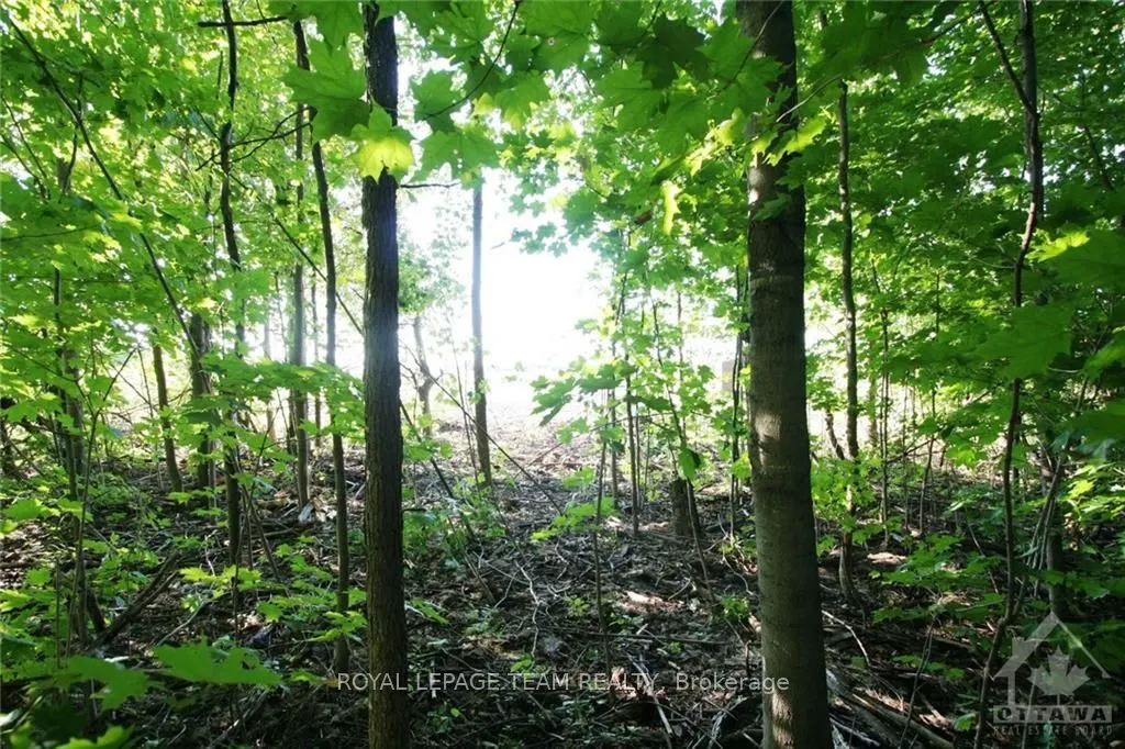 PtLt31 PLEASANT VALLEY Road