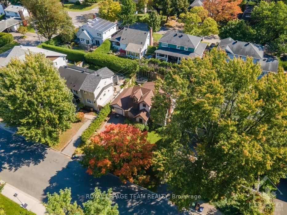 31 BIRCH Ave