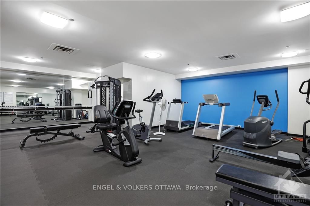 40 BOTELER St, #503