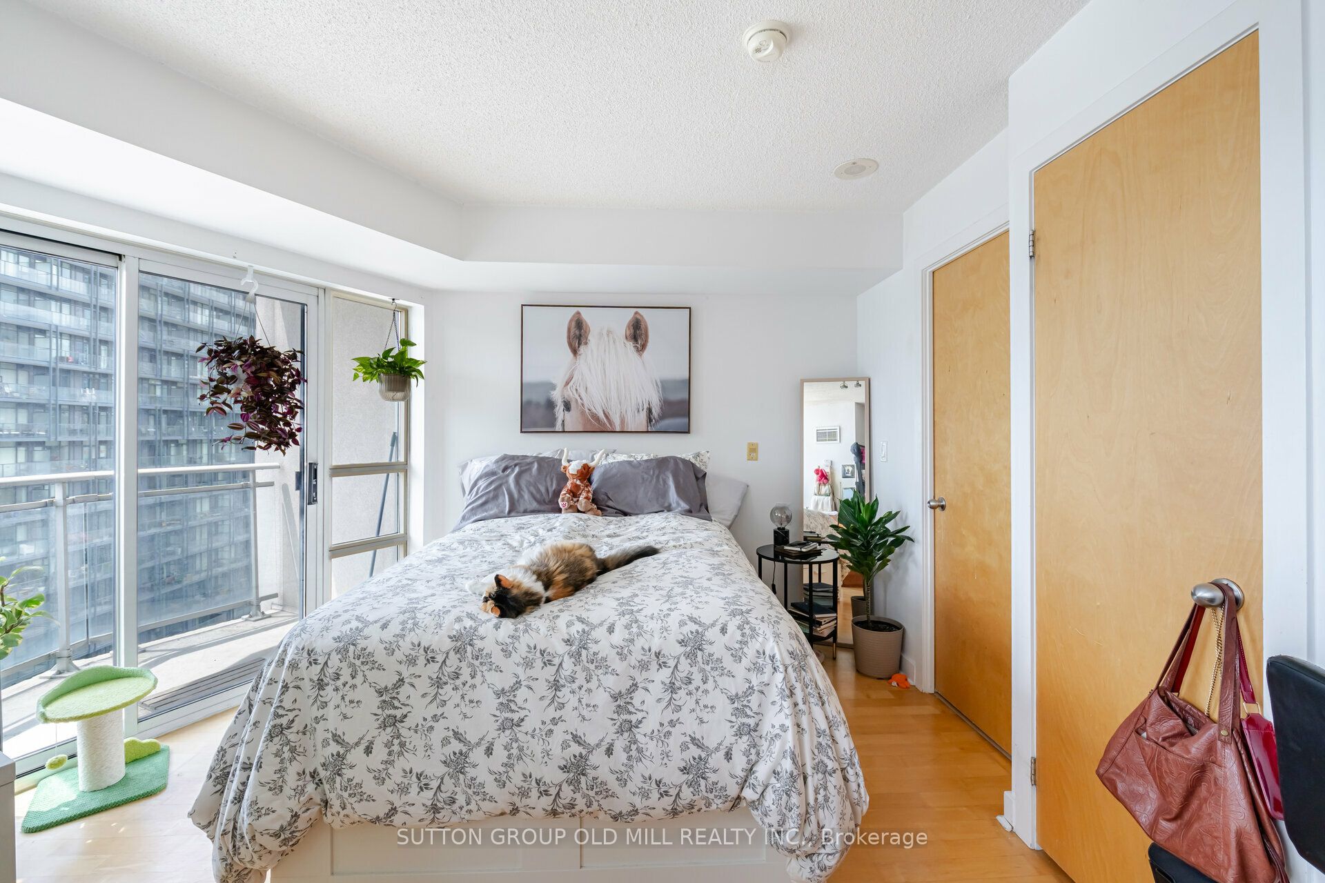 255 Richmond Street E, #1517