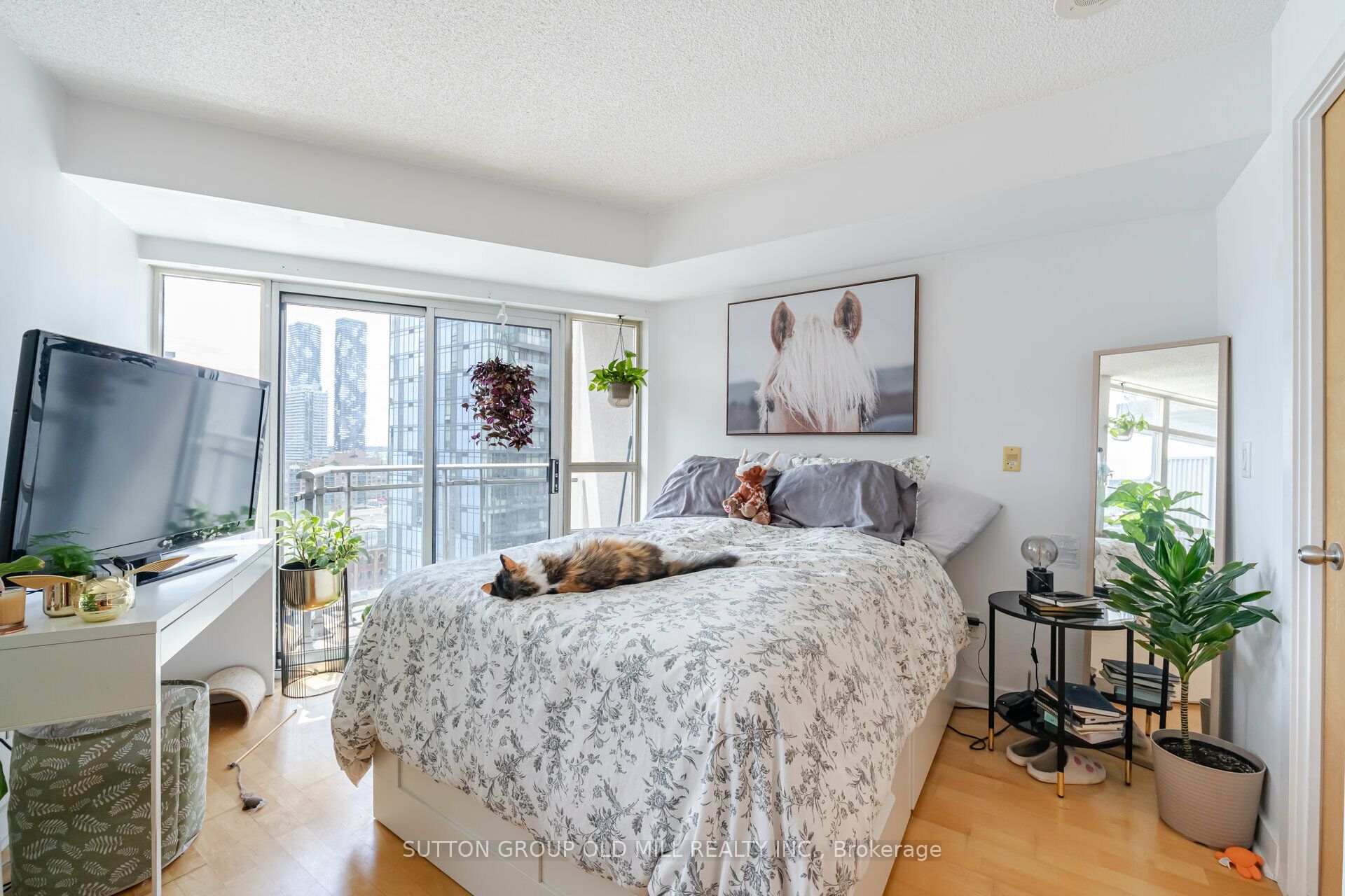 255 Richmond Street E, #1517