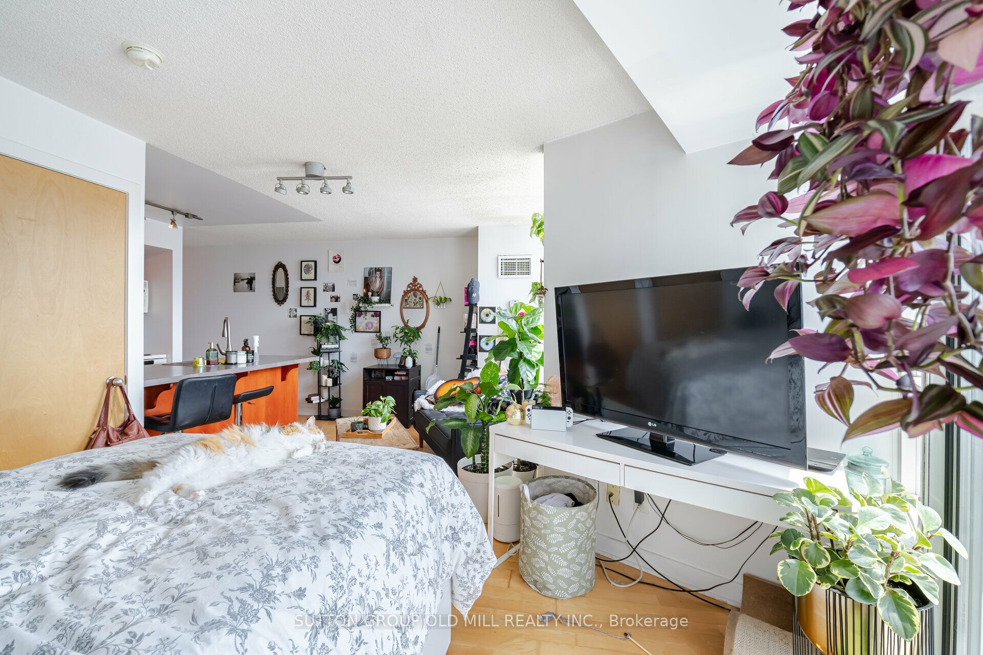 255 Richmond Street E, #1517