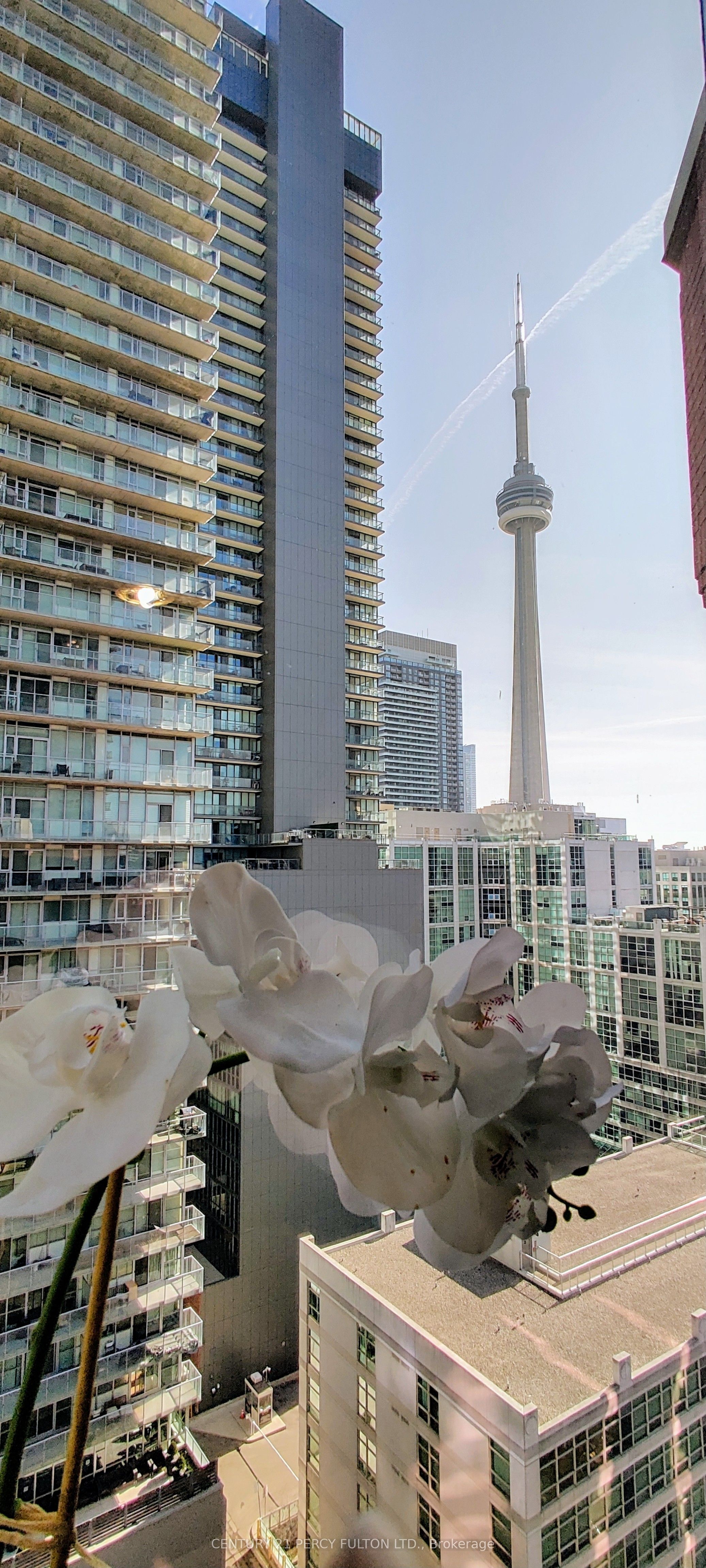 393 King Street W #1204