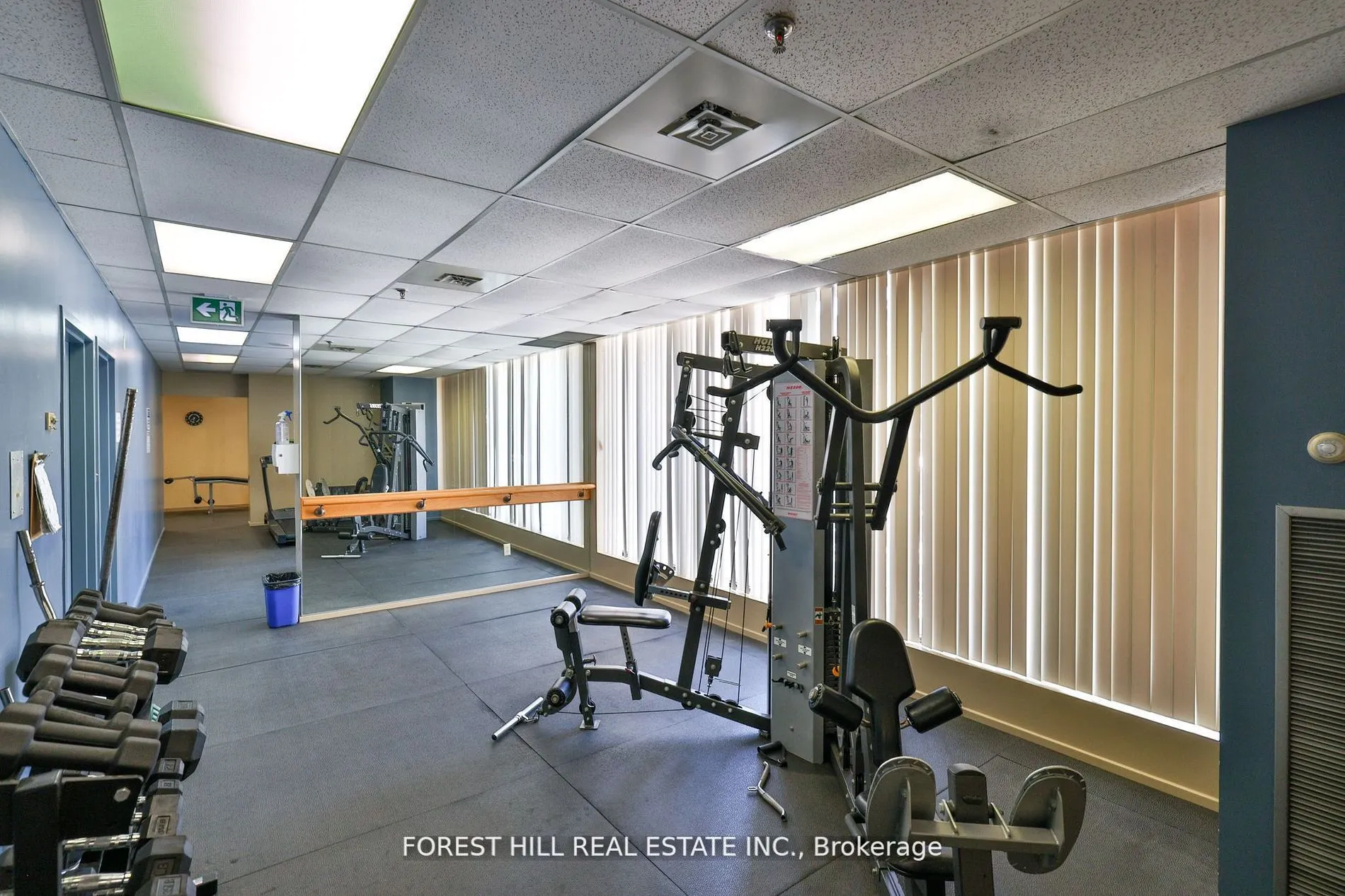 117 Gerrard Street, #503