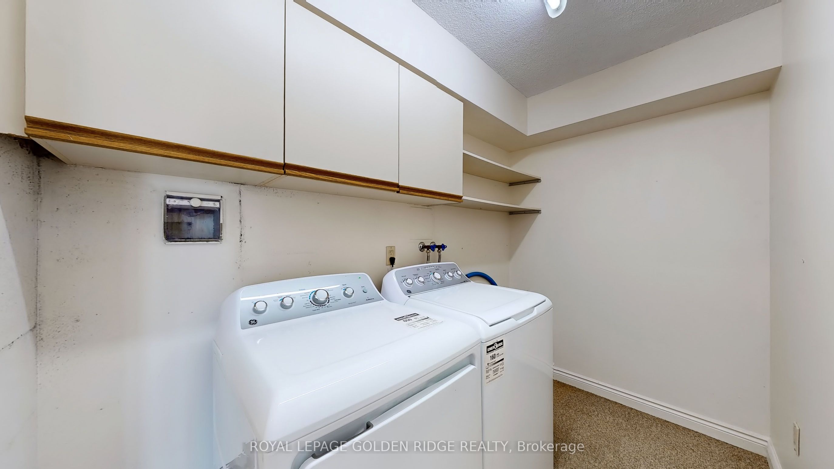 65 Spring Garden Avenue, #1504