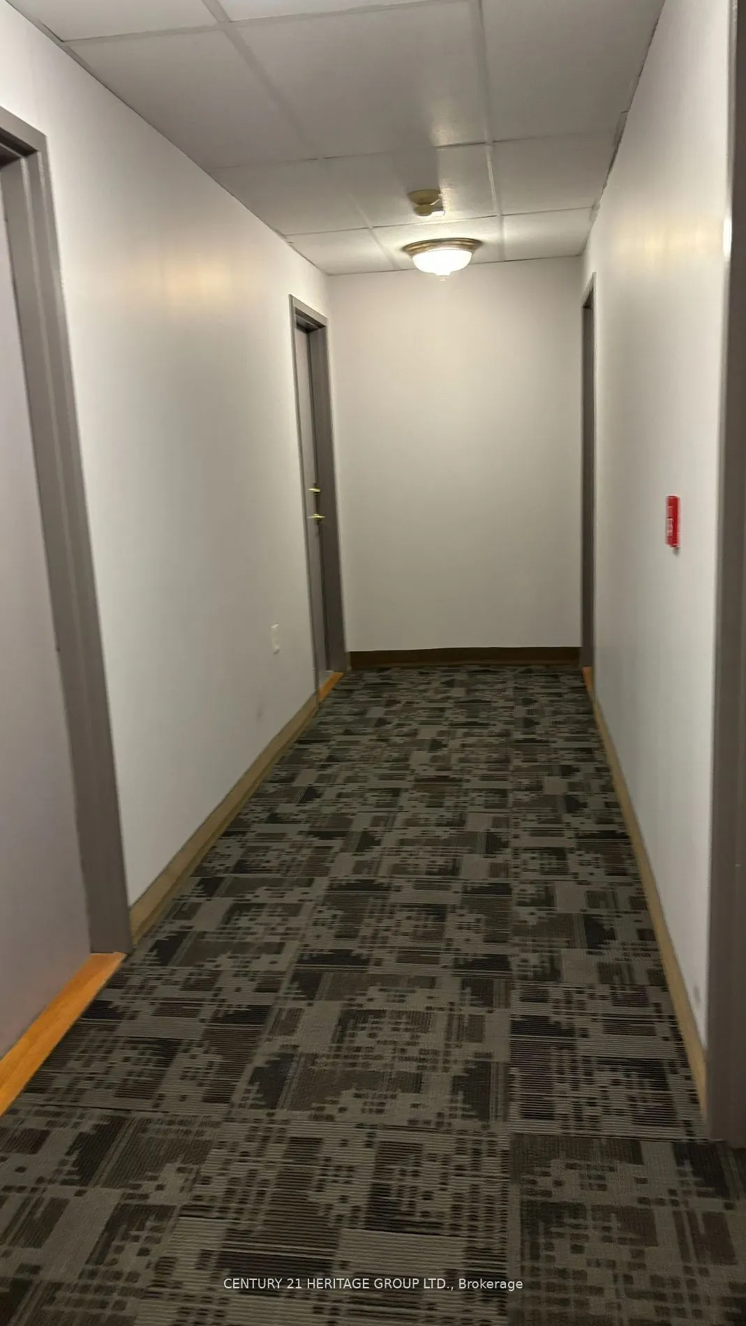 555 Wilson Heights Boulevard, #503