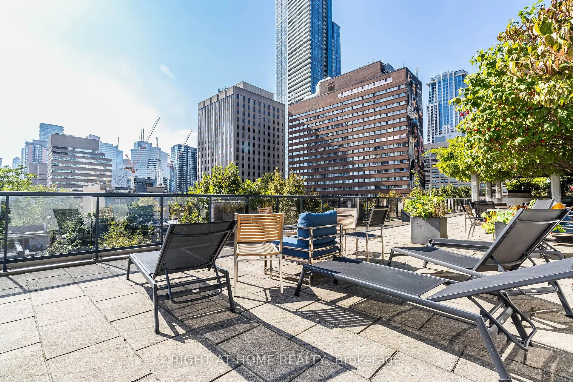 25 Carlton Street, #406
