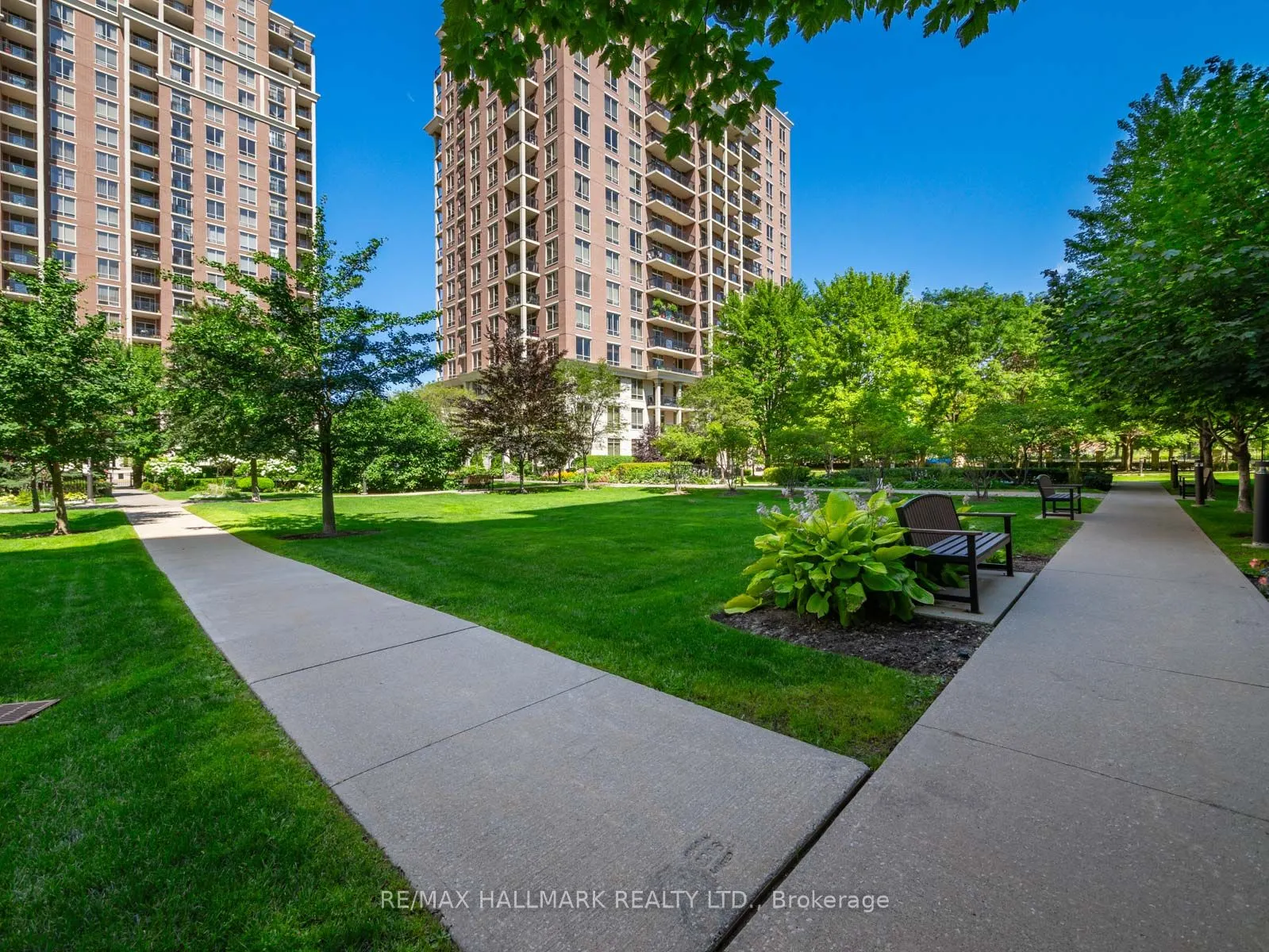 1103 Leslie Street, #1107
