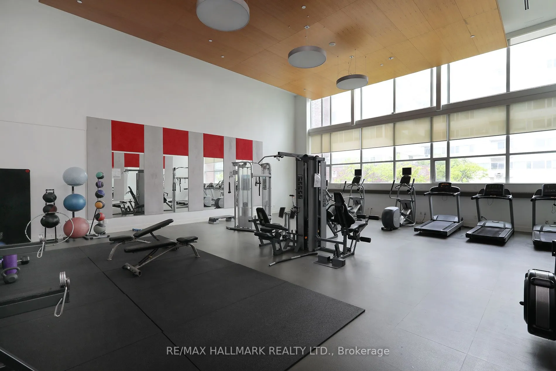 225 Sackville Street, #1312