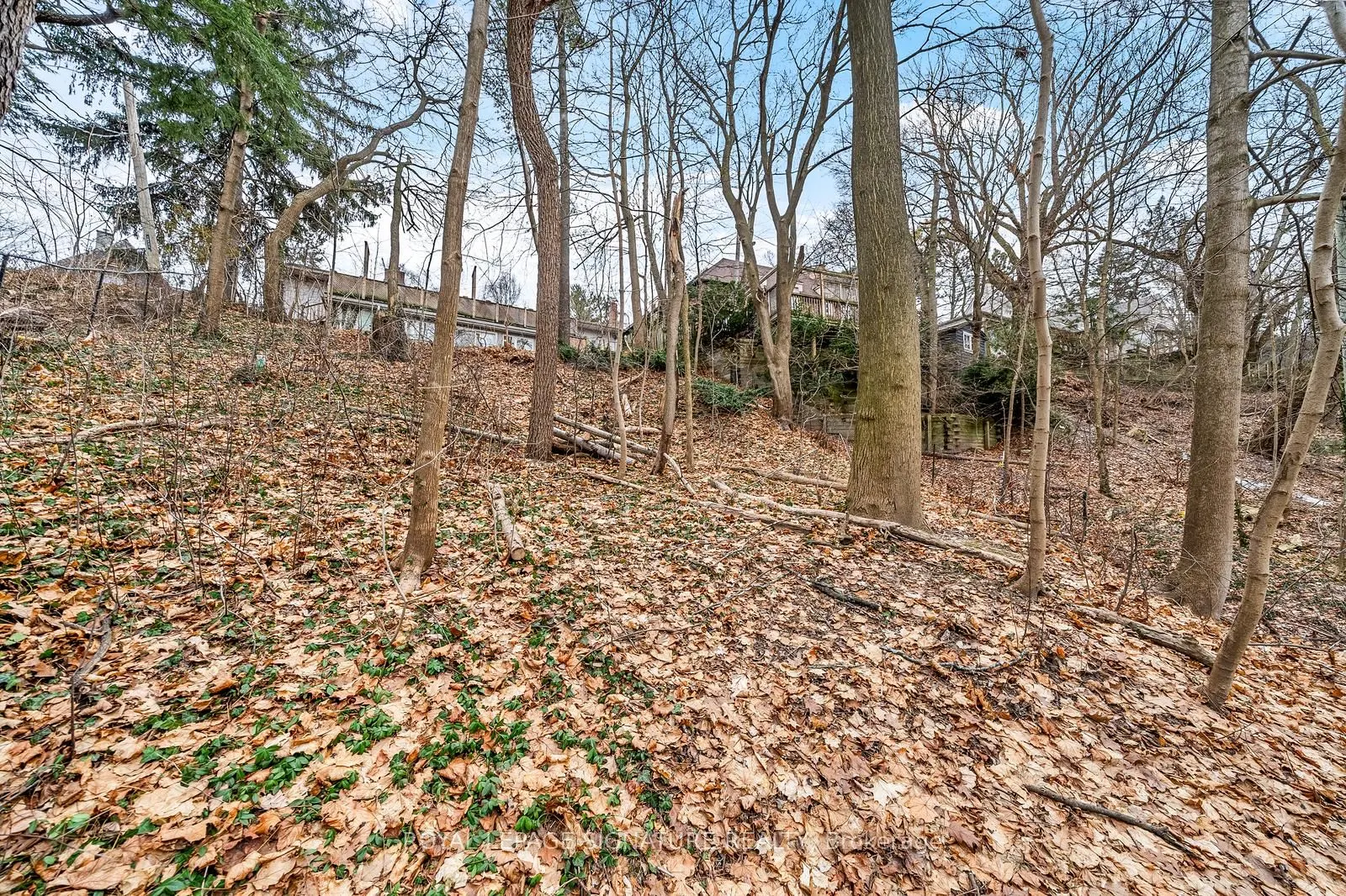 21 Donwoods Drive, #Lower