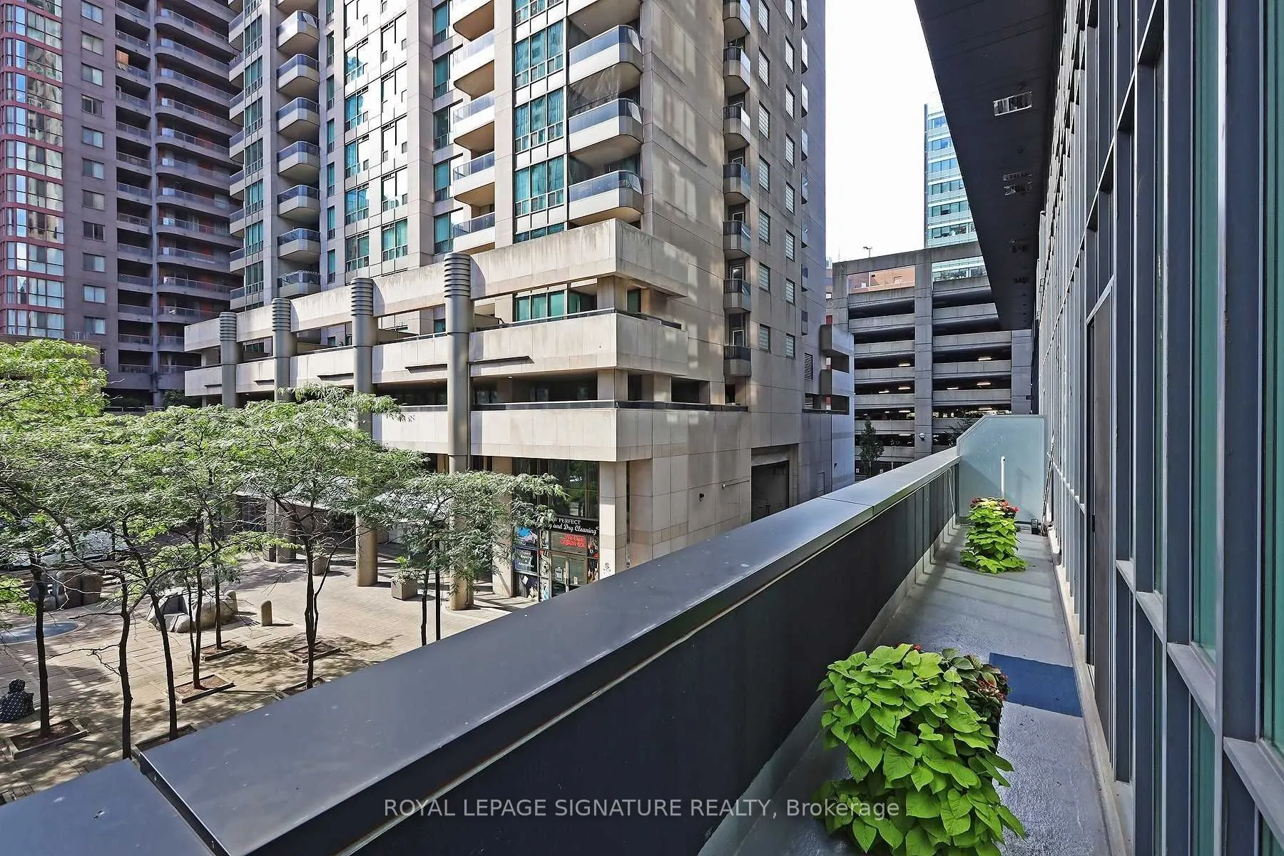 770 Bay Street, #204