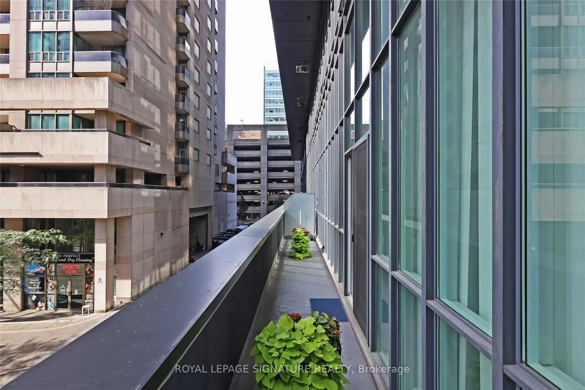770 Bay Street, #204